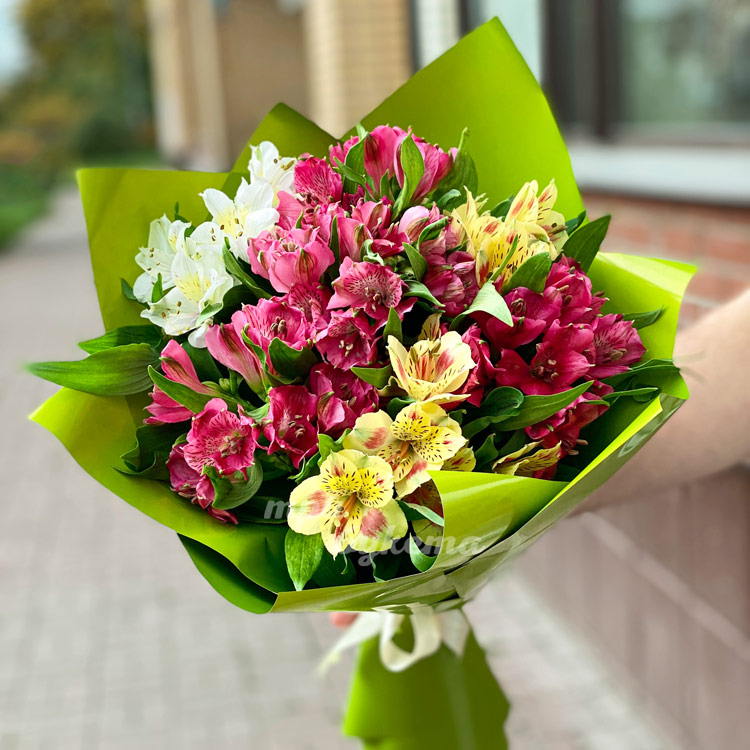 Букет из 13 альстромерий