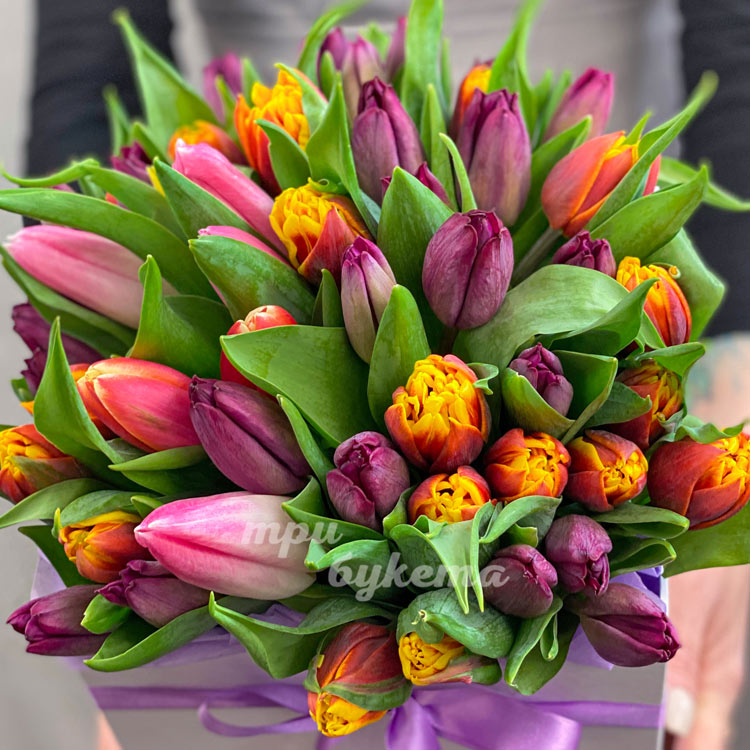 51 розовый тюльпан в коробке (крупный план)