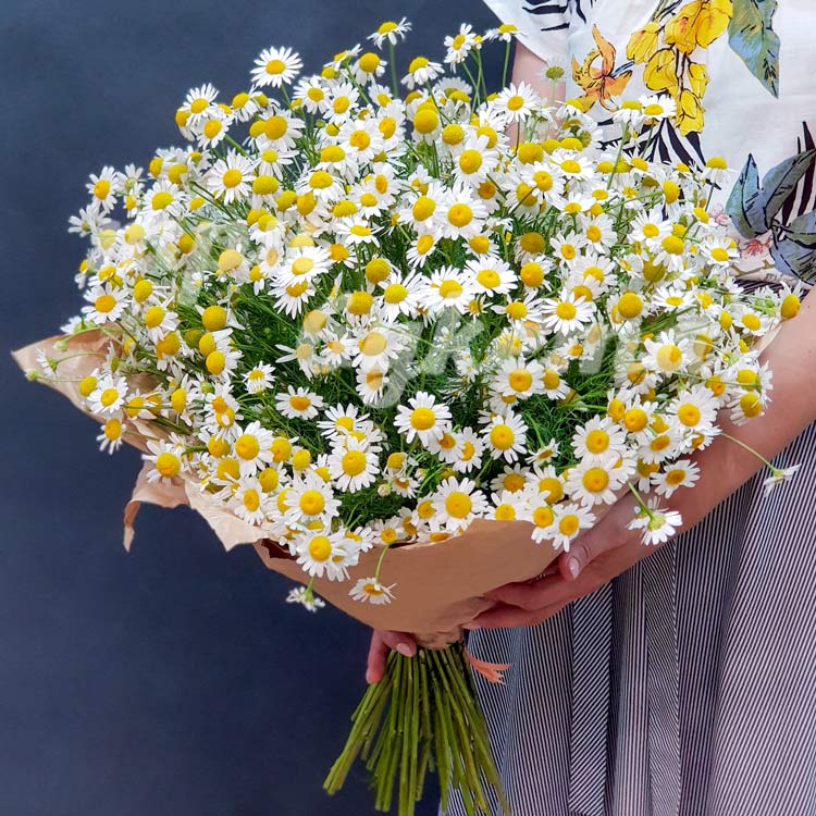 Букет из 23 ромашек в крафте