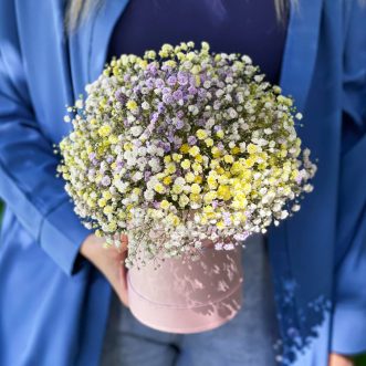 Коробка из 7 желтых гипсофил