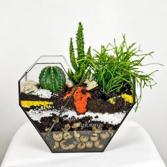 Флорариум в виде сердца с кактусами